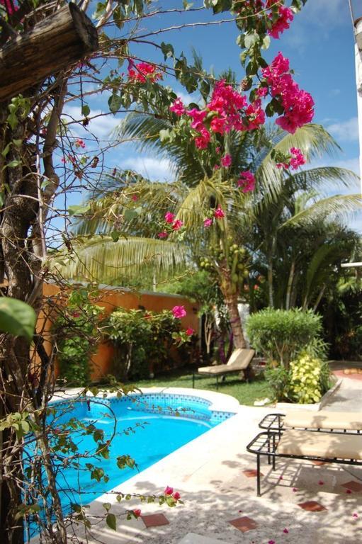 Beachouse Dive Hostel Cozumel Buitenkant foto