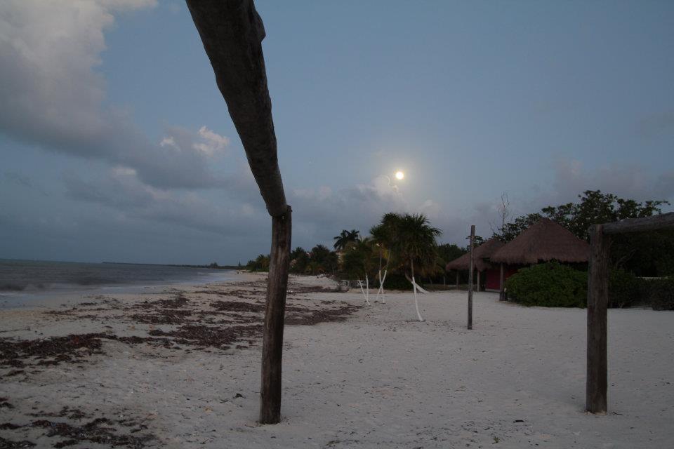 Beachouse Dive Hostel Cozumel Buitenkant foto