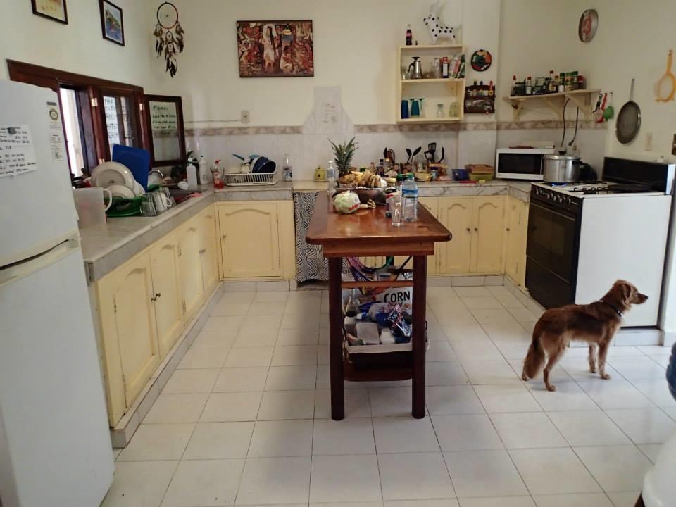 Beachouse Dive Hostel Cozumel Buitenkant foto