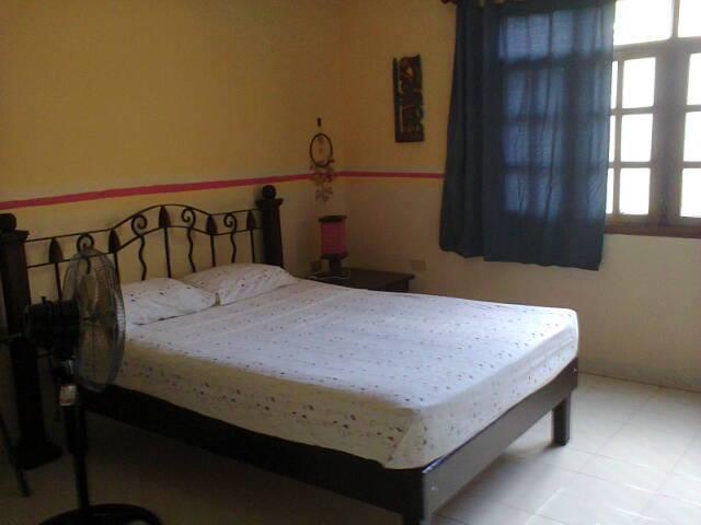 Beachouse Dive Hostel Cozumel Buitenkant foto