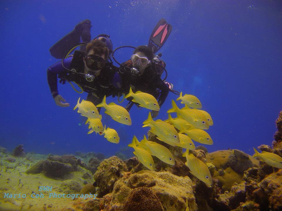 Beachouse Dive Hostel Cozumel Buitenkant foto