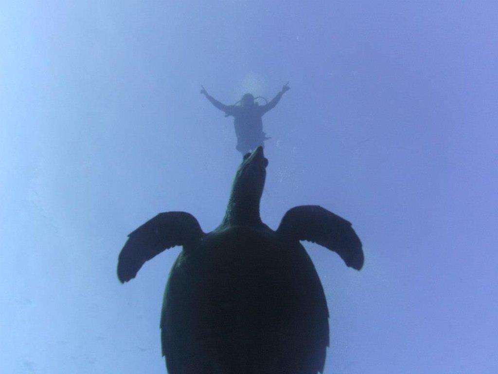 Beachouse Dive Hostel Cozumel Buitenkant foto