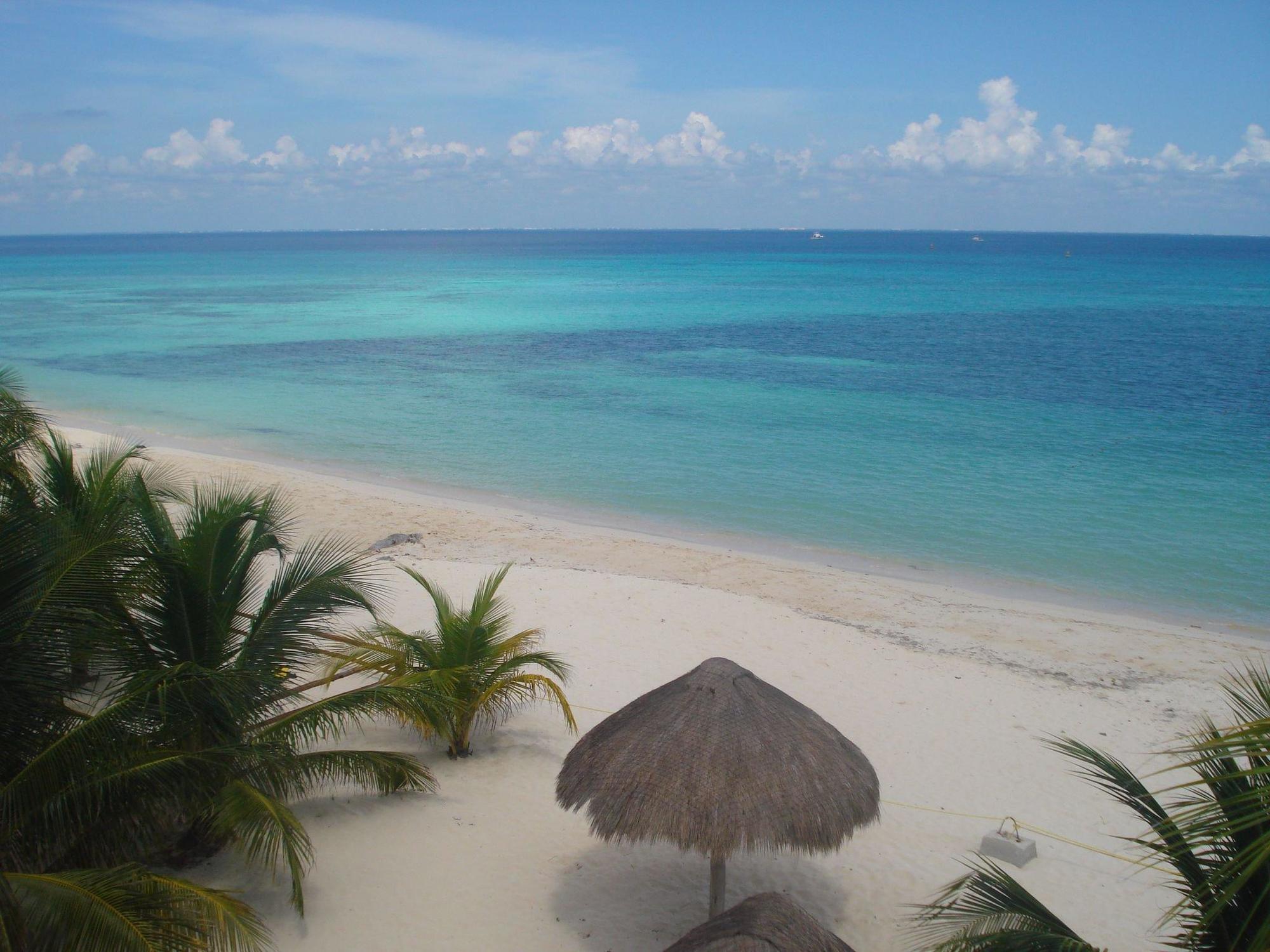Beachouse Dive Hostel Cozumel Faciliteiten foto