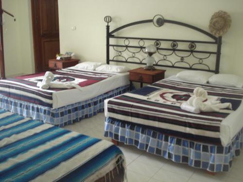 Beachouse Dive Hostel Cozumel Kamer foto